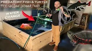 1100 GALLON INDOOR POND WATER CHANGE (I got electrocuted!)