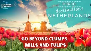 Beyond Amsterdam: Discovering the Netherlands' Best-Kept Secrets