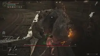 Best moment in Elden Ring.