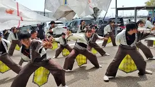 舞綺瓔 『しおさい』 🍀 2024.4.14宮城県 道の駅 上品の郷 よさこい演舞 (4K)