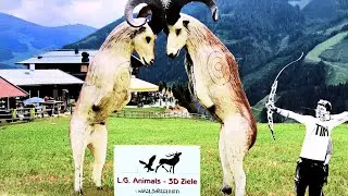 Leitold 3D-Ziele: Naturgetreu & langlebig! #bogenschießen / Leitold 3D-Targets #archery