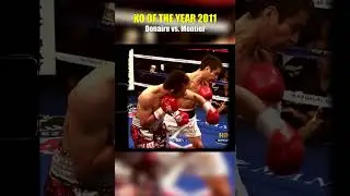 Shocking KO! Donaire Hits Montiel So Hard He Starts Swimming #boxing #boxingko
