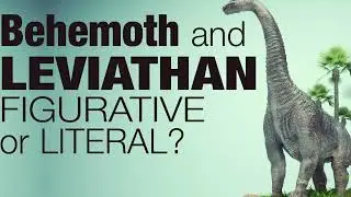 Dr Peter S Ruckman Figurative and Literal definitions in the Bible
