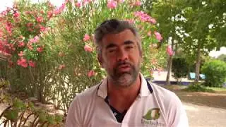 Если бы я не нашёл ибогу/ибогаин, меня бы здесь не было: интервью с основателем Альваро де Ферранти