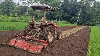 SO SATISFYING! FARMER DRIVES A FOUR-WHEEL TRACTOR TO TILL LAND FAST -agriculture farming