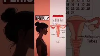 What Are Periods? | Periods Explained in 60 Seconds |Menstrual Cycle Explained Simply