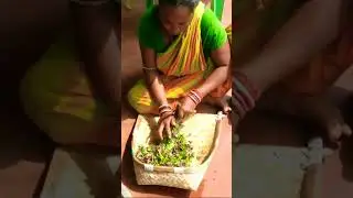 Real simple village lifestyle ll Indian village daily life #shorts #village_life_of_odisha