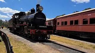 Mary Valley Rattler - September Holidays Saturday Run - 30/09/23