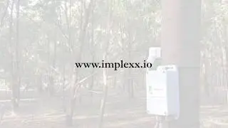 Sap Flow Sensor Installation
