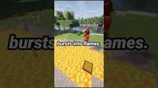 Minecraft Logic 💀 Wooden Chest Next to Lava 🔥 #minecraftshorts