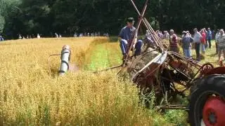 Oogstfeest roswinkel movie