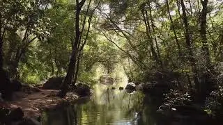 #HADI CHANEL [ ] Relaxi nature music lover video tutorial