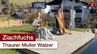 Thaurer Muller Walzer - Steirische Harmonika & Harfe 🥳🎶