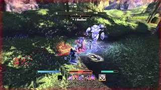 ESO: Level Fighters guild fast / Aldmeri Dominion/Veteran grind