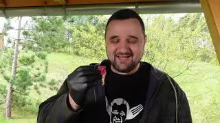 DIE GES&Uuml;NDESTEN STEAKS DER WELT !!! --- Klaus grillt