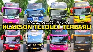 FULL BUS TELOLET BASURI!! Hunting Bus Di Tanjakan Kelok Lima Banjar
