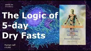 The Logic of 5 Day Dry Fasts #life #new #livetipsandtricks #healthy