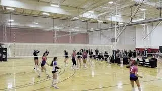 Alliance 15 Prem vs. Alliance 15 REN