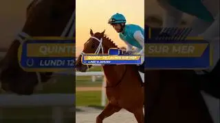 Quint&eacute;+ PMU &ndash; Trois Bases Quint&eacute; + | lundi 12 janvier &agrave; Cagnes sur Mer