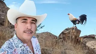 EL PELON - OMAR EL ALACRAN VALENZUELA