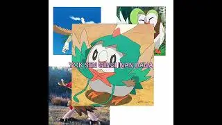 Rowlet Pokemon Edit #pokemon #rowlet #pikachu #edit #viral