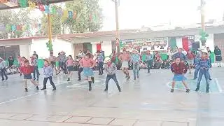Pávido Návido.