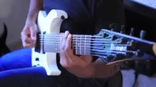 Animals as Leaders 