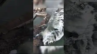Willamette Falls #oregoncity #shorts