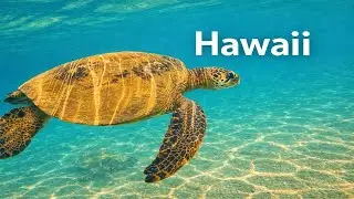 Trip to Hawaii, Oahu, Kauai
