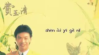 【Audio Lyrics Video】費玉清Fei Yu Qing〈呼聲Hū Shēng〉官方動態歌詞版MV