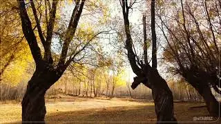 Matanaq Village Tour | Iran's Off-the-Beaten-Path Destination