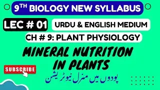 Mineral Nutrition in Plants | Class 9 Biology Chapter 9 Plant Physiology | PCTB 2025 Urdu + English