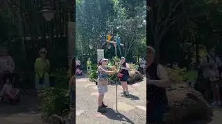 Let's Spend a Summer Day at ANIMAL KINGDOM 😍