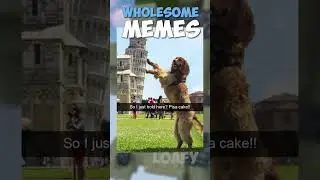 The Most Wholesome Memes! 🥰 #shorts