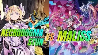 NECRODOGMA STUN VS MALISS / Match Ranked / YGO OMEGA + Deck List / @elyugi-pibe