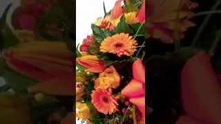 Neue PULLIS... in frischen Farben eingetroffen. Wir freuen uns auf dich. Dein LUCCIA-TEAM