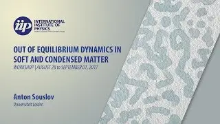 Chiral Active Metamaterials - Anton Souslov