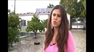 Programa Escolhas - Tomar o Rumo Certo