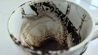 AQUARIUS ♒ WEEKLY COFFEE CUP READING ☕ 19 TO 25 JANUARY 2026