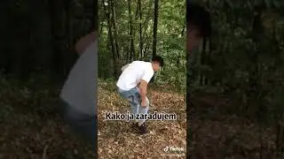 kinesce