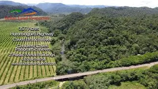 Jungle and Creek Property Belize Real Estate