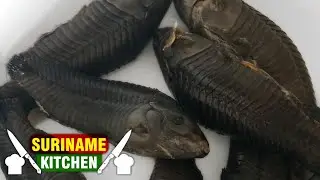 Kwie Kwie Met Aroei (Chinese Tayer) In Masala | Hassa With American Taro In Masala Suriname Kitchen