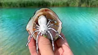Bass Fishing with a SPIDER LURE!?