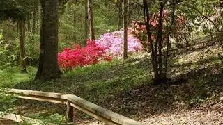 UT Arboretum-Oak Ridge, Tennessee; A fun hike with friends
