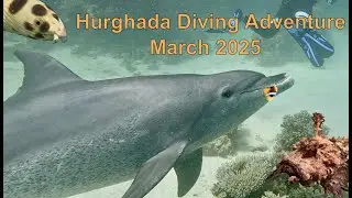 Hurghada Diving Adventure March 2025 [4K]
