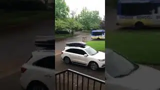Rudy runs to the doggie school bus