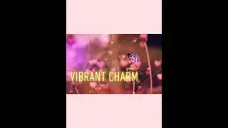 Introduction to Vibrant Charm