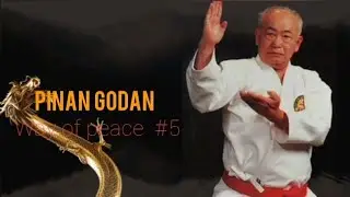 Pinan Godan Shorin-Ryu Shorinkan Traditional Japanese Karate Kata