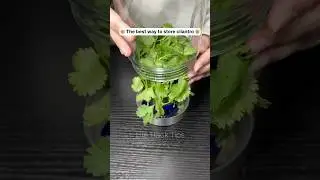 Kitchen life hack everyone should know! 🤯 #lifehacks #lifehacktips