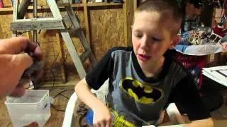 diy carefree rodent bedding  from newspaper